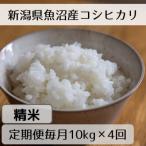 魚沼産コシヒカリ 山清水米 精米10kg全4回