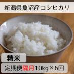 魚沼産コシヒカリ 山清水米 精米10kg全6回