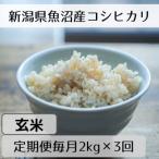 魚沼産コシヒカリ 山清水米 玄米2kg全3回