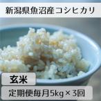 魚沼産コシヒカリ 山清水米 玄米5kg全3回
