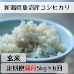 魚沼産コシヒカリ 山清水米 玄米5kg全6回