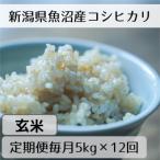 魚沼産コシヒカリ 山清水米 玄米5kg全12回