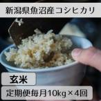 魚沼産コシヒカリ 山清水米 玄米10kg全4回