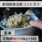 魚沼産コシヒカリ 山清水米 玄米10kg全6回