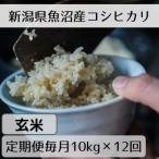 魚沼産コシヒカリ 山清水米 玄米10kg全12回