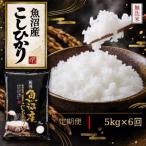 こしひかり 5kg