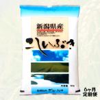 岩船産こしいぶき 5kg×6ヶ月