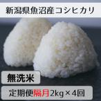 魚沼産コシヒカリ 山清水米 無洗米2kg全4回