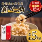 新之助 玄米5kg お米全12回