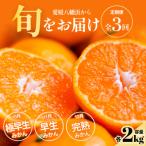 五代目厳選 旬の愛媛みかんをお届け 全3回
