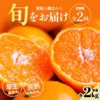 五代目厳選 旬の愛媛みかんをお届け 全2回