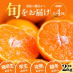旬の愛媛みかんをお届け 極早生 早生 完熟