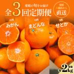 五代目厳選 旬のみかんをお届け みかん まどんな