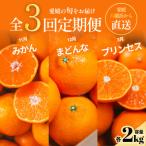 五代目厳選 旬のみかんをお届け みかん まどんな