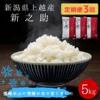 上越産 新之助 精米 5kg全3回