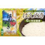 斎藤農場の特別栽培米はえぬき5kg 全6回