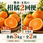 熊本 玉名の温州みかんと不知火 各約3kg