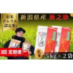 新之助 10kg