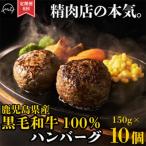 黒毛和牛100% ハンバーグ10個 合計1.5kg全6回
