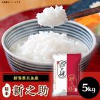 新之助 精米 5kg