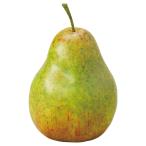 フェイクフルーツ とりよせ品 ペアー 洋ナシ 洋梨 フェイクフルーツ フェイクフード インテリア イミテーション 花材 花資材 素材 アスカ ASCA アスカ商会