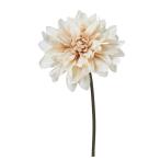 [P5 раз средний 12/02 09:59 до ] искусственный цветок .... товар * георгина pick интерьер интерьер цветок поддельный цветок шелк цветок материалы для цветочной композиции Aska ASCA Aska association 