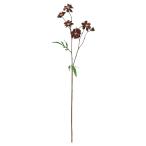 [P5 раз средний 12/02 09:59 до ] искусственный цветок .... товар шоколад Cosmos ×5...×1 осень Sakura a-tifi автомобиль ru цветок интерьер материалы для цветочной композиции Aska ASCA Aska association 