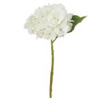  искусственный цветок .... товар hyde Ran jia гортензия .... фиолетовый . цветок белый белый интерьер интерьер цветок поддельный цветок материалы для цветочной композиции Aska ASCA Aska association 