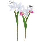  искусственный цветок .... товар Cattleya ×2 Cattleya Cattleya Ran . Ran орхидея a-tifi автомобиль ru цветок интерьер интерьер цветок материалы для цветочной композиции Aska ASCA Aska association 