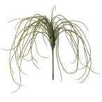 [P5 раз средний 12/02 09:59 до ] искусственный цветок зеленый суккулентное растение .... товар висячий стакан воздушный растения sa Curren тонн кактус поддельный Aska ASCA Aska association 