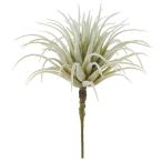 [P5 раз средний 12/02 09:59 до ] искусственный цветок зеленый суккулентное растение .... товар ti Land sia воздушный растения sa Curren тонн кактус интерьер Aska ASCA Aska association 