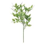 [P5 раз средний 12/02 09:59 до ] искусственный цветок зеленый .... товар one da кольцо ju- интерьер искусственная зелень детали поддельный цветок Aska ASCA Aska association 