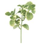 [P10 раз средний 3/2 9:59 до ] искусственный цветок зеленый .... товар орегано трава интерьер искусственная зелень детали интерьер цветок Aska ASCA Aska association 