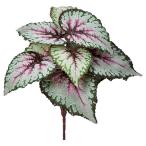 [P5 раз средний 12/02 09:59 до ] искусственный цветок зеленый .... товар бегония втулка интерьер искусственная зелень детали интерьер цветок Aska ASCA Aska association 