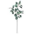 [P5 раз средний 12/02 09:59 до ] искусственный цветок зеленый .... товар эвкалипт интерьер искусственная зелень детали интерьер цветок материалы для цветочной композиции весна Aska ASCA Aska association 