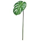 [P5 раз средний 12/02 09:59 до ] искусственный цветок зеленый .... товар монстера . лист Nankoku тропический большой интерьер искусственная зелень материалы для цветочной композиции Aska ASCA Aska association 