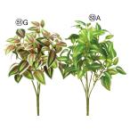 [P5 раз средний 12/02 09:59 до ] искусственный цветок зеленый .... товар тигр ti ska ntia leaf втулка интерьер искусственная зелень детали Aska ASCA Aska association 