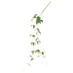  искусственный цветок зеленый .... товар likyuu saw интерьер искусственная зелень детали интерьер цветок поддельный цветок материалы для цветочной композиции цветок материал Aska ASCA Aska association 