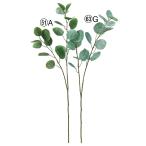 [P5 раз средний 12/02 09:59 до ] искусственный цветок зеленый .... товар эвкалипт po тянуть spo polas интерьер искусственная зелень детали материалы для цветочной композиции материалы Aska ASCA Aska association 