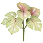 [P5 раз средний 12/02 09:59 до ] искусственный цветок зеленый .... товар монстера pick монстера . лист Nankoku тропический большой интерьер материалы для цветочной композиции Aska ASCA Aska association 