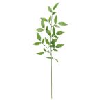 [P10 раз средний 3/2 9:59 до ] искусственный цветок зеленый .... товар bamboo leaf спрей человеческий труд растения интерьер зеленый искусственная зелень мир Aska ASCA Aska association 