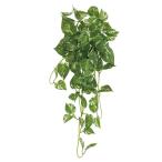  искусственный цветок зеленый .... товар pothos висячий втулка зеленый зеленый лист было использовано лист .. стена поверхность зеленый . wall зеленый интерьер . ввод Aska ASCA Aska association 