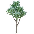 [P5 раз средний 12/02 09:59 до ] искусственный цветок зеленый суккулентное растение .... товар sa Curren тонн суккулентное растение человеческий труд суккулентное растение интерьер поддельный детали Aska ASCA Aska association 