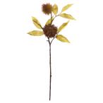 フェイクフルーツ とりよせ品 クリ 栗 くり フェイクフルーツ フェイクフード インテリア イミテーション 花材 花資材 素材 材料 アスカ ASCA アスカ商会