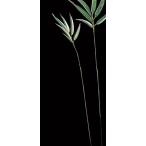 [P5 раз средний 12/02 09:59 до ] искусственный цветок зеленый .... товар * bamboo leaf (S) (1 пакет 12 шт. входит ) мир . бамбук интерьер искусственная зелень весна Aska ASCA Aska association 