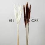 [P5 раз средний 12/02 09:59 до ] сухой цветок материалы для цветочной композиции .... товар длинный tail Lead swag украшение для волос материалы для цветочной композиции детали материал букет букет белый Aska ASCA Aska association 