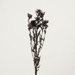  сухой цветок материалы для цветочной композиции .... товар алый bana черный . цветок чёрный swag украшение для волос материалы для цветочной композиции детали материал букет букет модный натуральный Aska ASCA Aska association 