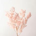  сухой цветок материалы для цветочной композиции .... товар мм Ogura ta скользящий розовый мм абельмош dasswag украшение для волос материалы для цветочной композиции детали материал букет букет . Aska ASCA Aska association 