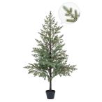 クリスマス ツリー 大きい 【メーカー直送品】 パインツリー(ポット付)《代引決済・他商品と同梱不可》 人工植物 人工観葉 ツリー アスカ ASCA アスカ商会