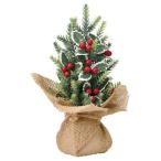 ショッピングクリスマスツリー 《 クリスマス ツリー 小さい 》◆とりよせ品◆Asca(アスカ) ミックスミニツリー ツリー クリスマスツリー 50cm以下 造花 もみの木 雑貨